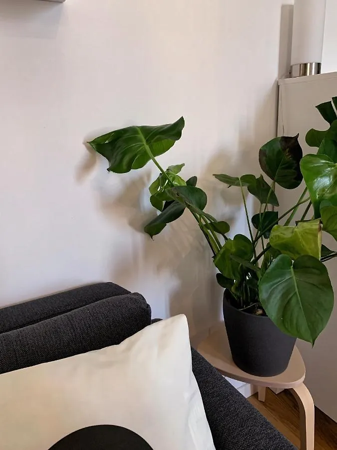 Nolo28 Apartment Milan